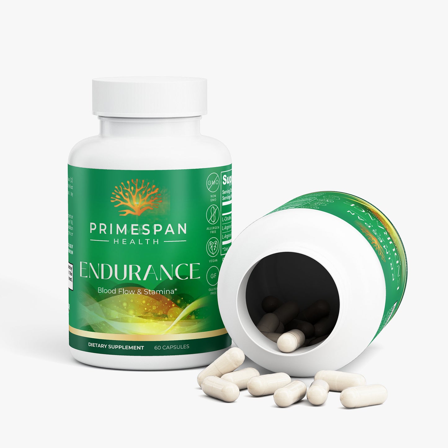 ENDURANCE