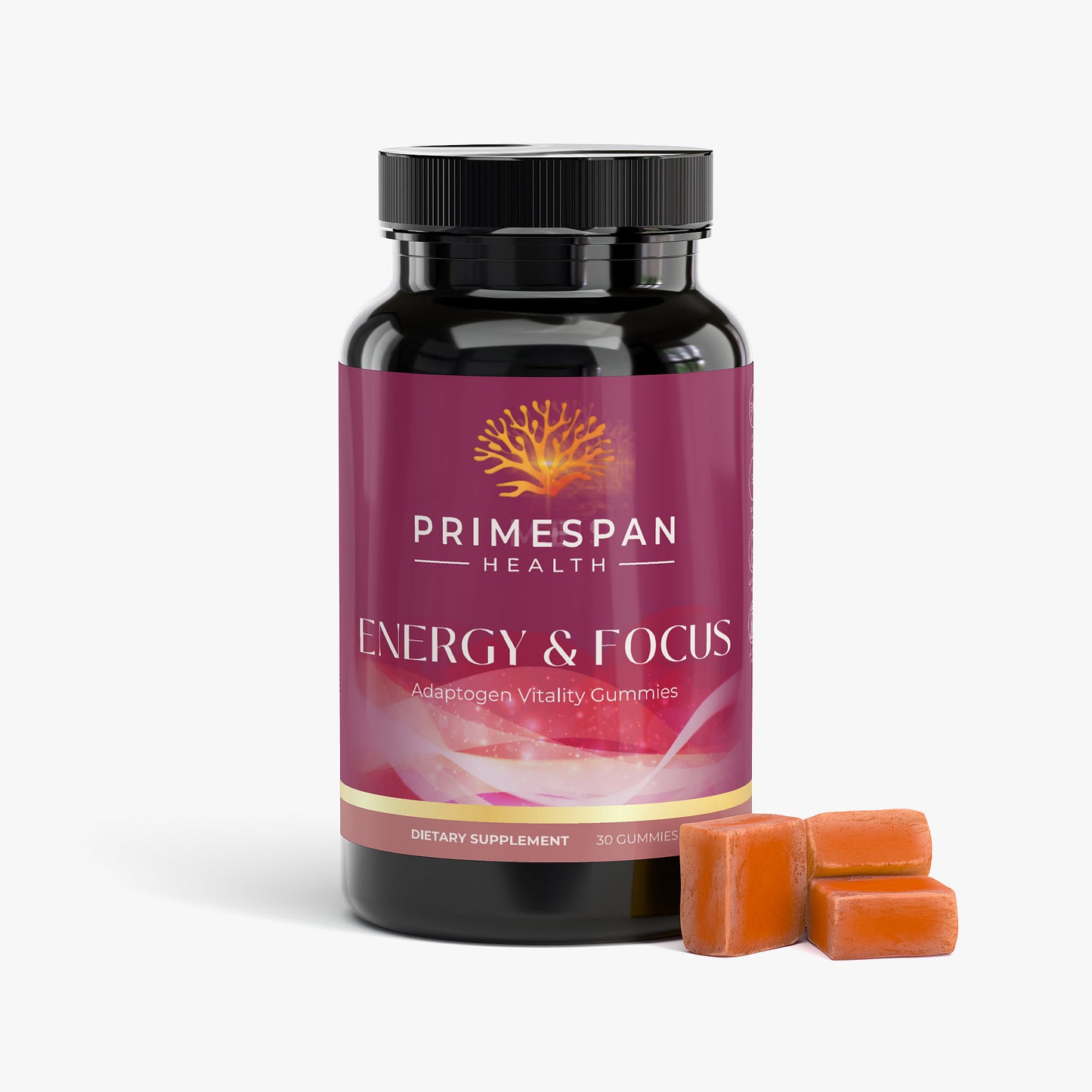 ENERGY & FOCUS