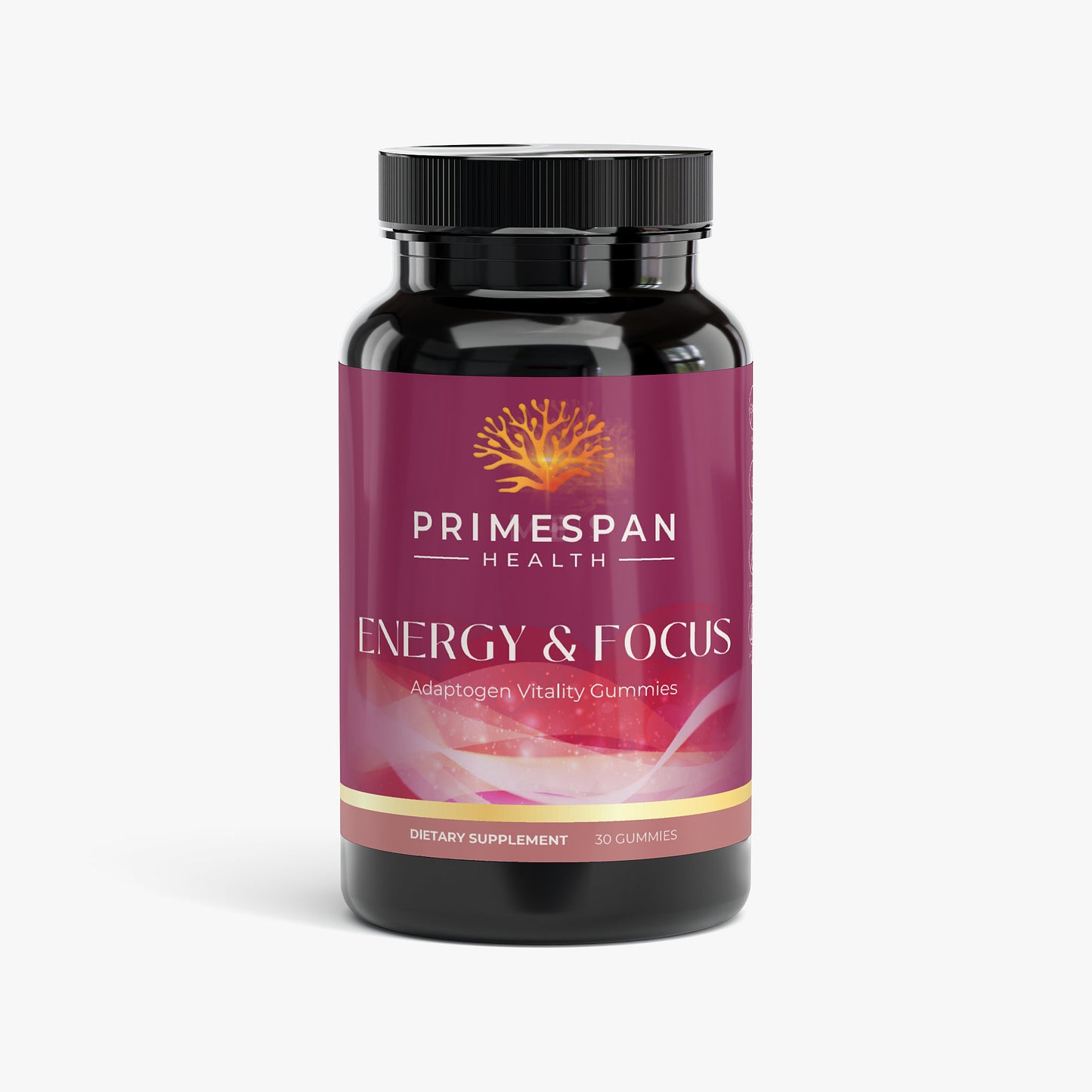 ENERGY & FOCUS