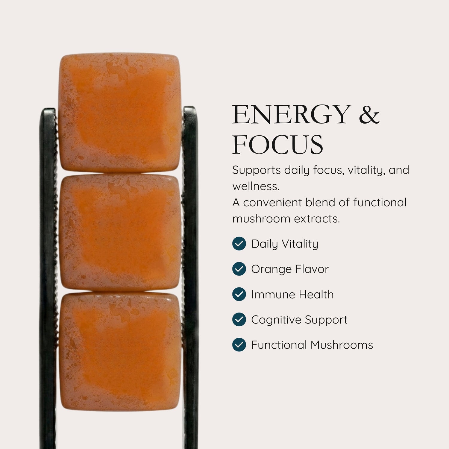 ENERGY & FOCUS