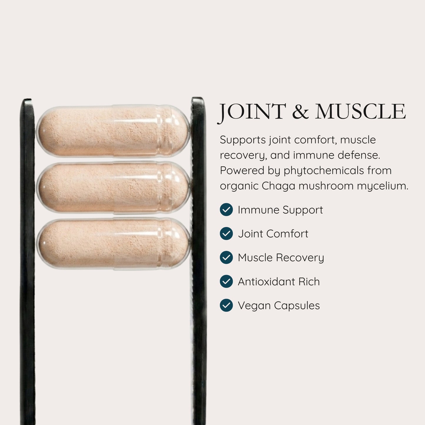 JOINT & MUSCLE