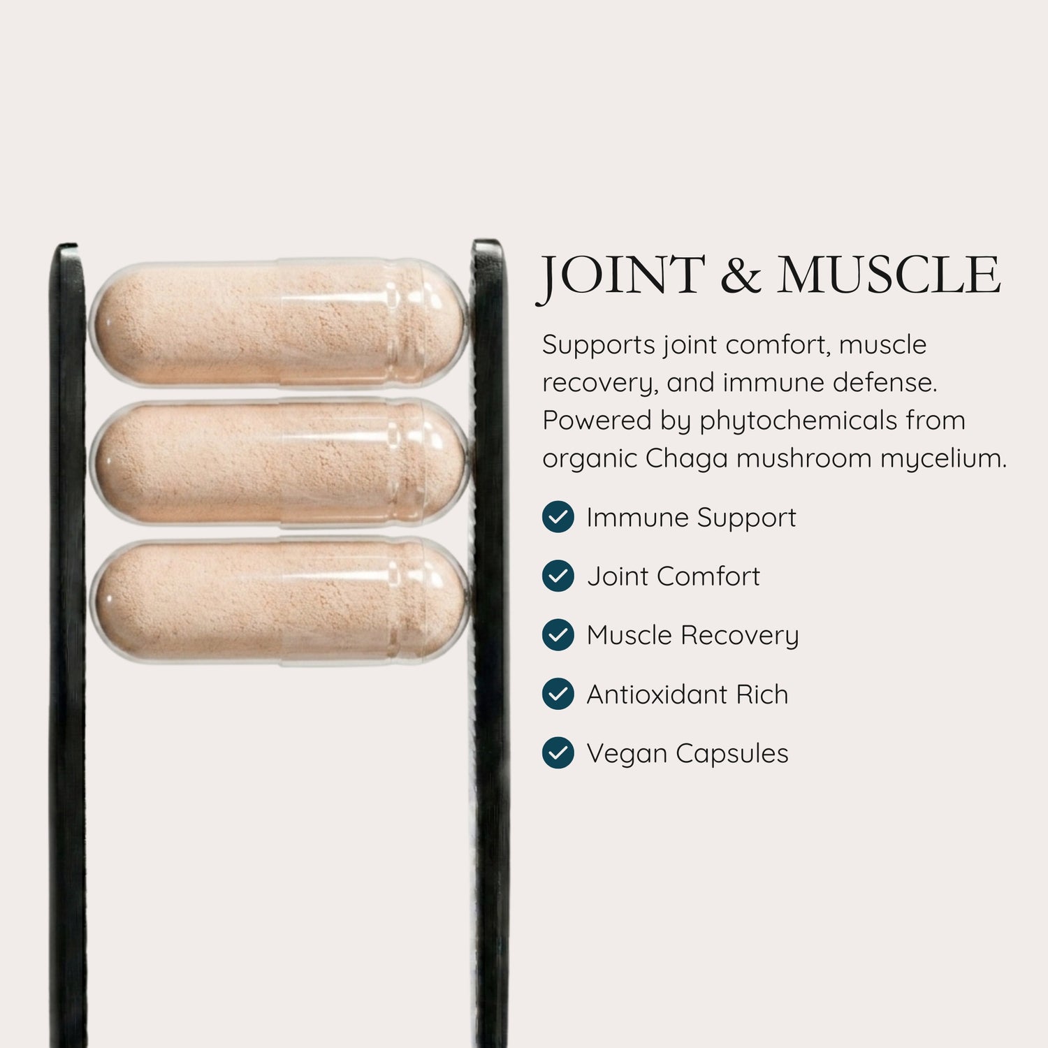 JOINT & MUSCLE