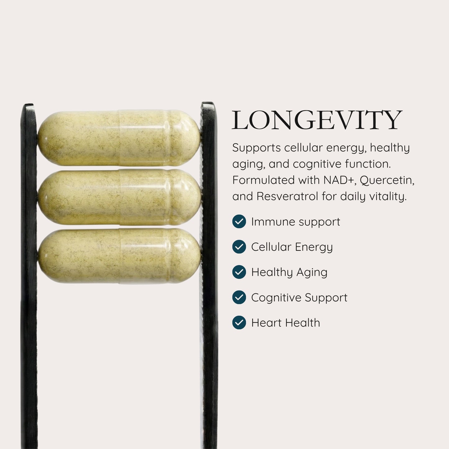 LONGEVITY